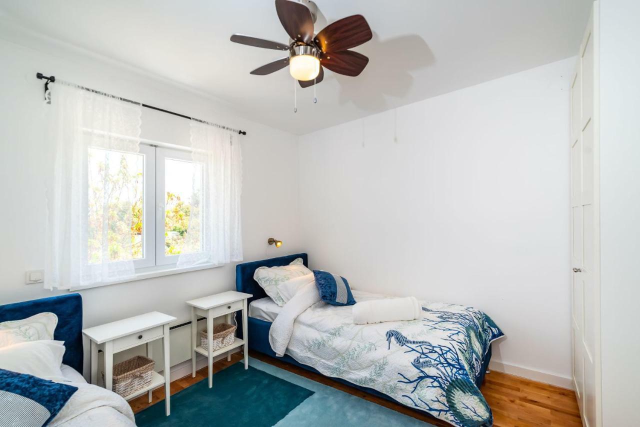 Vitez'S House Novigrad/Knight'S House Novigrad Apartment Novigrad  Bagian luar foto